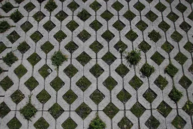 GRISON Rasengitterstein mit Nocken grau glatt L 60.2 cm B 40.2 cm H 8 cm