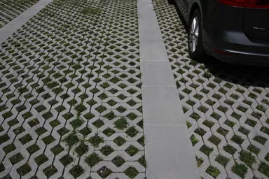 GRISON Rasengitterstein mit Nocken grau glatt L 60.2 cm B 40.2 cm H 8 cm