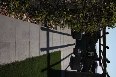 ESTRELLA Gehwegplatte schwarz strukturiert gestrahlt gefast L 50 cm B 50 cm H 4 cm