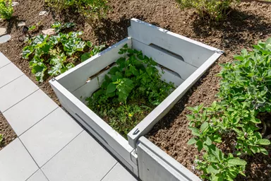 Kompostbehälter einzelnes Brett L 160 cm B 5.5 cm H 25 cm