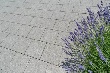 CARENA Sickerstein fino mit Nocken grau haufwerksporig gefast L 25 cm B 25 cm H 6 cm