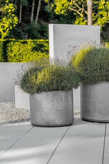 PARCO Pflanzentrog rund grau gestrahlt OD 50 cm H 40 cm W 4 cm R 25 cm