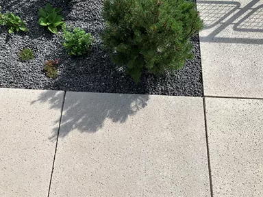 TRAVINA Gehwegplatte ahornweiss strukturiert vollkantig L 99.5 cm B 99.5 cm H 5 cm