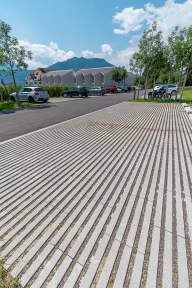 RAINA Rasenliner mit Verschiebesicherung grau glatt L 60 cm B 40 cm H 10 cm