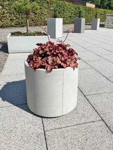 PARCO Pflanzentrog rund grau glatt OD 50 cm H 40 cm W 4 cm R 25 cm