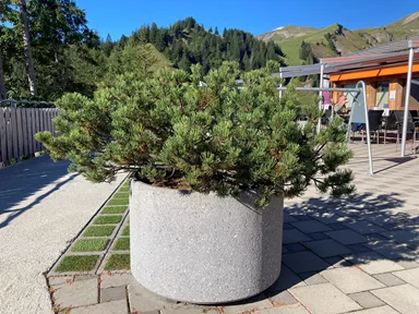 PARCO Pflanzentrog rund grau gestrahlt OD 80 cm H 50 cm W 4 cm R 40 cm