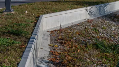 Amphibienleitsystemelement mit Klettersperre und Elementverbund bewehrt gefast grau L 300 cm B 50 cm H 55 cm W 8 cm