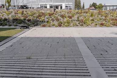 RAINA Rasenliner mit Verschiebesicherung grau glatt L 45 cm B 40 cm H 12 cm