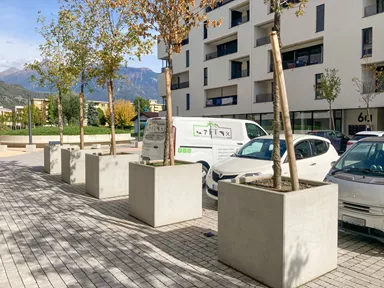 PARCO Pflanzentrog quadratisch grau glatt L 100 cm B 100 cm H 100 cm W 5 cm