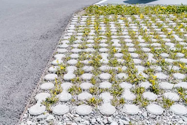 LUNIX Rasengitterstein grau glatt L 53.2 cm 39.9 cm H 12 cm