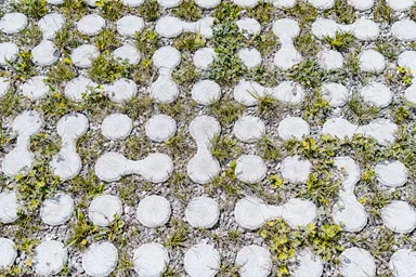 LUNIX Rasengitterstein grau glatt L 53.2 cm 39.9 cm H 12 cm