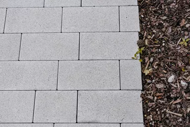 RAINA Pflasterstein grau glatt leicht gefast L 20-40 cm B 15 cm H 8 cm