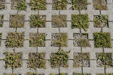 QUADRO Rasengitterstein grau L 58 cm B 47 cm H 10 cm