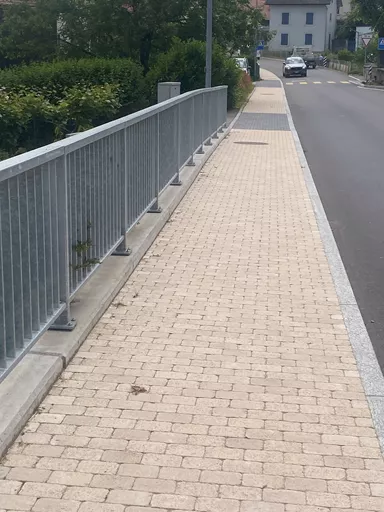 TEGULA Pflasterstein solea glatt Kanten gebrochen L 16 cm B 11 cm H 6 cm